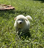 processed/462f3d09-0f96-4797-8734-057138279c53/listing/9f8c7f2b-cab4-4a92-b9b8-55c1bb47e981/9a11422a-893d-41be-a393-cb8133ff356f