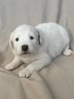 processed/462f3d09-0f96-4797-8734-057138279c53/listing/a85e018c-e488-45e2-96be-8a65a949c590/40a2560e-0798-4201-96c0-a2b8d1299bf1