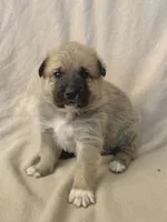 processed/462f3d09-0f96-4797-8734-057138279c53/listing/b69cfc0a-372a-4d08-b8d9-0fd596bfbf90/0baac003-74fc-41da-9693-a75182ae0059