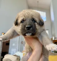 processed/462f3d09-0f96-4797-8734-057138279c53/listing/b69cfc0a-372a-4d08-b8d9-0fd596bfbf90/5ab2c68d-94a4-4783-b209-9700f2491a93