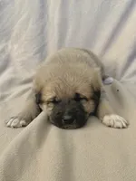 processed/462f3d09-0f96-4797-8734-057138279c53/listing/b69cfc0a-372a-4d08-b8d9-0fd596bfbf90/c7b7f743-5372-4a9c-adc2-af56147fa9e4