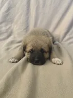 processed/462f3d09-0f96-4797-8734-057138279c53/listing/b69cfc0a-372a-4d08-b8d9-0fd596bfbf90/d5644822-9063-4c32-bf66-0db9b1970b0c