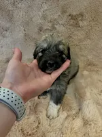 processed/462f3d09-0f96-4797-8734-057138279c53/listing/ba014804-7e2f-4121-9b03-460f43db5d3e/0d7a1eff-3141-4bd1-9b9f-acfd334cb84f