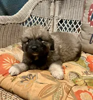 processed/462f3d09-0f96-4797-8734-057138279c53/listing/ba014804-7e2f-4121-9b03-460f43db5d3e/2861586d-27de-4323-a4c9-2a563e15a2ed