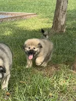 processed/462f3d09-0f96-4797-8734-057138279c53/listing/ba014804-7e2f-4121-9b03-460f43db5d3e/88c99d88-bf9b-47b4-8759-33672aadf608