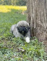 processed/462f3d09-0f96-4797-8734-057138279c53/listing/ba014804-7e2f-4121-9b03-460f43db5d3e/abd0886f-46ab-464f-9eab-8ff474a40a2e