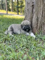 processed/462f3d09-0f96-4797-8734-057138279c53/listing/ba014804-7e2f-4121-9b03-460f43db5d3e/bf891fed-c014-4c8f-87b1-ba122b0cc829