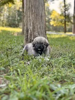 processed/462f3d09-0f96-4797-8734-057138279c53/listing/ba014804-7e2f-4121-9b03-460f43db5d3e/d86fbeff-1054-45e9-9872-457983cee412