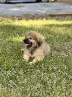 processed/462f3d09-0f96-4797-8734-057138279c53/listing/ba014804-7e2f-4121-9b03-460f43db5d3e/f4a9a8ff-183f-48e1-869b-b3ad709fdb22