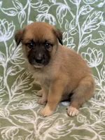 processed/462f3d09-0f96-4797-8734-057138279c53/listing/c73e71b9-9bde-46af-a37c-f93f4f57e7cb/2a3f3b03-6698-4c2d-8af6-3114ac910c05