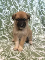 processed/462f3d09-0f96-4797-8734-057138279c53/listing/c73e71b9-9bde-46af-a37c-f93f4f57e7cb/8bfb202e-cc1f-4b81-b723-091667da85aa