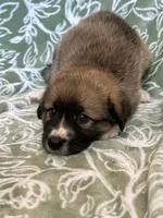 processed/462f3d09-0f96-4797-8734-057138279c53/listing/d146e64f-3b8f-4957-a901-a1cf46325a53/01bf6ed3-9488-4d7e-93cf-89620ddec374