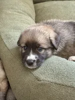 processed/462f3d09-0f96-4797-8734-057138279c53/listing/d146e64f-3b8f-4957-a901-a1cf46325a53/39664aaf-bdeb-46ad-bc5e-004735bf8672