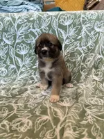 processed/462f3d09-0f96-4797-8734-057138279c53/listing/d146e64f-3b8f-4957-a901-a1cf46325a53/6c5de774-e546-468f-9092-65e33196f5dc