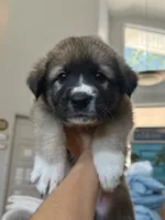 processed/462f3d09-0f96-4797-8734-057138279c53/listing/d146e64f-3b8f-4957-a901-a1cf46325a53/6e677b0a-3e60-4fd4-b2a4-497217cf75e4