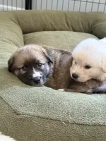 processed/462f3d09-0f96-4797-8734-057138279c53/listing/d146e64f-3b8f-4957-a901-a1cf46325a53/cbb66016-5f4d-466b-b7f4-ac70d1905813