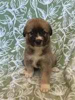 processed/462f3d09-0f96-4797-8734-057138279c53/listing/d146e64f-3b8f-4957-a901-a1cf46325a53/f855ece7-09dd-4484-9cbb-829aa1649cad