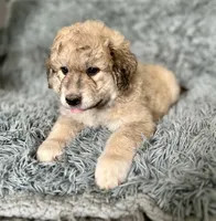 processed/462f3d09-0f96-4797-8734-057138279c53/listing/d254997f-7a35-4886-9afd-8c127e8a649c/490539ee-4387-4022-9041-7fbd18fdaa8f