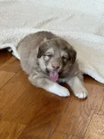 processed/462f3d09-0f96-4797-8734-057138279c53/listing/d254997f-7a35-4886-9afd-8c127e8a649c/5e37323e-3f7b-415c-9338-13494b238c45