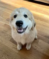 processed/462f3d09-0f96-4797-8734-057138279c53/listing/d254997f-7a35-4886-9afd-8c127e8a649c/7393719e-0765-4b83-aaaa-9bf5cf90a82a