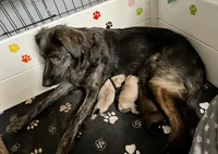 processed/462f3d09-0f96-4797-8734-057138279c53/listing/d254997f-7a35-4886-9afd-8c127e8a649c/a2b2f214-8492-4e2f-b2ca-bff6634011b4