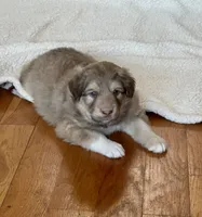 processed/462f3d09-0f96-4797-8734-057138279c53/listing/d254997f-7a35-4886-9afd-8c127e8a649c/a9af8464-394e-4f63-b1fd-732f7d7aa73d