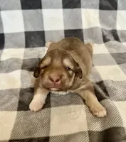 processed/462f3d09-0f96-4797-8734-057138279c53/listing/d254997f-7a35-4886-9afd-8c127e8a649c/ac964dfe-fa79-47f6-bcb8-53fa81b6f64f