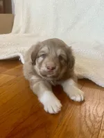 processed/462f3d09-0f96-4797-8734-057138279c53/listing/d254997f-7a35-4886-9afd-8c127e8a649c/bcf96599-1e52-4b92-ae8c-0f2d8d3e80e3