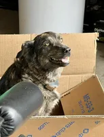 processed/462f3d09-0f96-4797-8734-057138279c53/listing/d254997f-7a35-4886-9afd-8c127e8a649c/e0483118-dfcf-45fc-90c2-46cb3691dffb