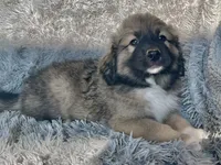 processed/462f3d09-0f96-4797-8734-057138279c53/listing/dfd0df2c-3e66-4a2d-978f-df4d840c2ac3/2db31015-cdcd-4016-8e43-3f6c1fcd3d2f