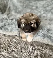 processed/462f3d09-0f96-4797-8734-057138279c53/listing/dfd0df2c-3e66-4a2d-978f-df4d840c2ac3/498ae493-c05c-462f-85ed-3e168c12a3fd