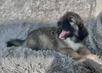 processed/462f3d09-0f96-4797-8734-057138279c53/listing/dfd0df2c-3e66-4a2d-978f-df4d840c2ac3/c22c5af8-0f81-40dd-8761-3918052c6a10