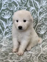 processed/462f3d09-0f96-4797-8734-057138279c53/listing/dfec3799-82d1-4407-a88d-b91be01b7506/f7b73463-9519-4f40-ac6f-562cdfd66985