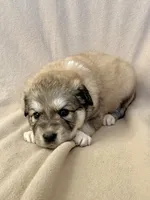 processed/462f3d09-0f96-4797-8734-057138279c53/listing/e25f30f6-0288-4888-ade7-782daab53600/057c30e4-079a-4625-98e6-4a62259ec28f