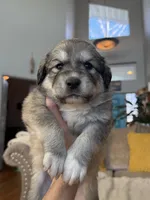 processed/462f3d09-0f96-4797-8734-057138279c53/listing/e25f30f6-0288-4888-ade7-782daab53600/61ea9f0f-36ab-4594-bada-fe49d590e2ef