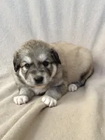 processed/462f3d09-0f96-4797-8734-057138279c53/listing/e25f30f6-0288-4888-ade7-782daab53600/7c56788d-6ee9-422e-994d-74fba8e2af6f