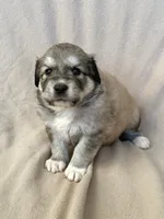 processed/462f3d09-0f96-4797-8734-057138279c53/listing/e25f30f6-0288-4888-ade7-782daab53600/b371a132-0237-4a48-95dc-b08872896a35