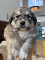 processed/462f3d09-0f96-4797-8734-057138279c53/listing/e25f30f6-0288-4888-ade7-782daab53600/eda88d92-1436-4c7c-8c03-bd6a2757d0f5