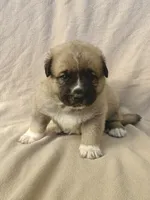 processed/462f3d09-0f96-4797-8734-057138279c53/listing/e8cdca97-ed81-4a7f-9e86-39d96d6c0bcd/5c7b3c66-3aa2-4932-97ff-3d871d14fc83