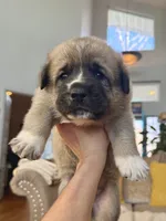 processed/462f3d09-0f96-4797-8734-057138279c53/listing/e8cdca97-ed81-4a7f-9e86-39d96d6c0bcd/91e59245-7cfc-4a71-a97e-42e0509f9983