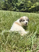 processed/462f3d09-0f96-4797-8734-057138279c53/listing/ef077c27-b952-4ea2-a83a-3b00858d9da3/49ccf3a9-0f90-47c2-a98e-96d7f2883dce