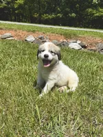 processed/462f3d09-0f96-4797-8734-057138279c53/listing/ef077c27-b952-4ea2-a83a-3b00858d9da3/81a217a2-c4b0-47fb-9274-9b15861e7855