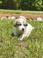 processed/462f3d09-0f96-4797-8734-057138279c53/listing/ef077c27-b952-4ea2-a83a-3b00858d9da3/d8d6a432-275e-4b0e-b79b-46ab8d80d3ae