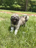 processed/462f3d09-0f96-4797-8734-057138279c53/listing/ef5ad4ee-ef69-433f-9c61-150a58dd3e53/14b76473-4a33-423f-a283-44fe012448cd