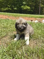 processed/462f3d09-0f96-4797-8734-057138279c53/listing/ef5ad4ee-ef69-433f-9c61-150a58dd3e53/2f4e1d01-dcd2-4ad6-8018-2c2a7545258d