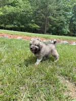 processed/462f3d09-0f96-4797-8734-057138279c53/listing/ef5ad4ee-ef69-433f-9c61-150a58dd3e53/9f0fcd48-5dda-4f3d-9884-0772b0299e53