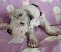 processed/46318c66-d189-4f54-8e36-9830655328e6/listing/02e01b9e-4d53-4d67-8174-b36b06b10ae9/4890d743-d582-4295-9552-ed211a08d37d