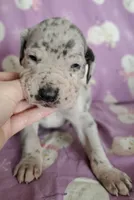 processed/46318c66-d189-4f54-8e36-9830655328e6/listing/02e01b9e-4d53-4d67-8174-b36b06b10ae9/f5b5477b-2cee-41ad-bde3-77ec1abec6f7