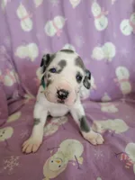 processed/46318c66-d189-4f54-8e36-9830655328e6/listing/2ca7fb43-37fa-4a68-b460-4fe2cea79f87/27f63f2e-502e-41b9-863b-5a6666ff00d4