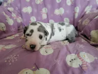 processed/46318c66-d189-4f54-8e36-9830655328e6/listing/2ca7fb43-37fa-4a68-b460-4fe2cea79f87/3dbb4eca-9a2b-49fb-93c1-41929cef29c6